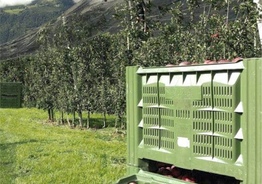  Антиградовая сетка для яблок, винограда и других культур
